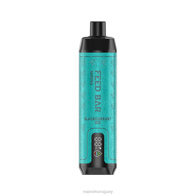 VapSolo Al Por Mayor - hielo de grosella negra VapSolo SHISHA vaporizador desechable 4RTV2