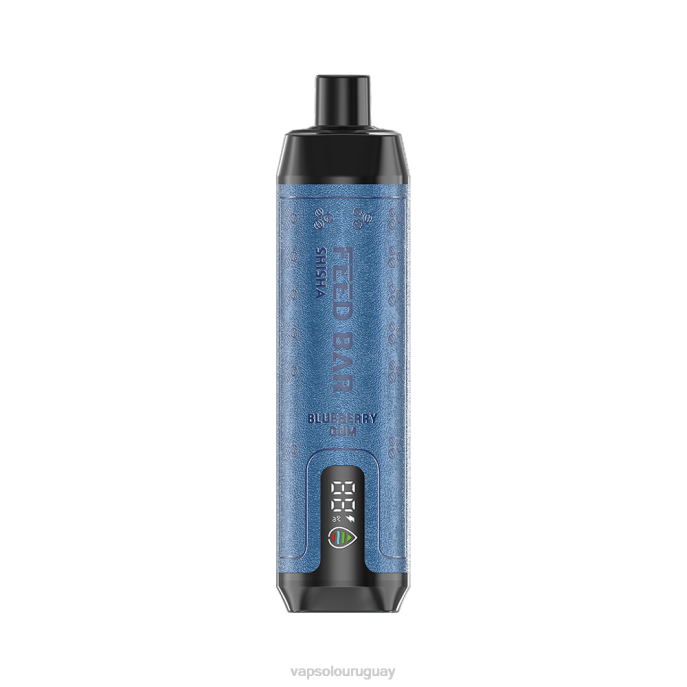 VapSolo Precio - chicle de arándanos VapSolo SHISHA vaporizador desechable 4RTV4