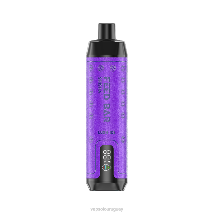 VapSolo Sabores - hielo exuberante VapSolo SHISHA vaporizador desechable 4RTV8
