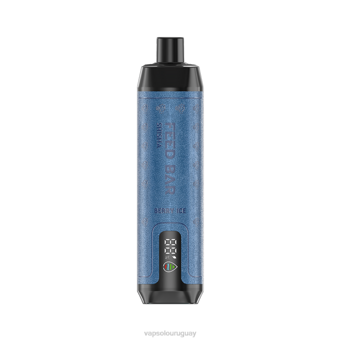 VapSolo Uruguay - hielo de baya VapSolo SHISHA vaporizador desechable 4RTV1