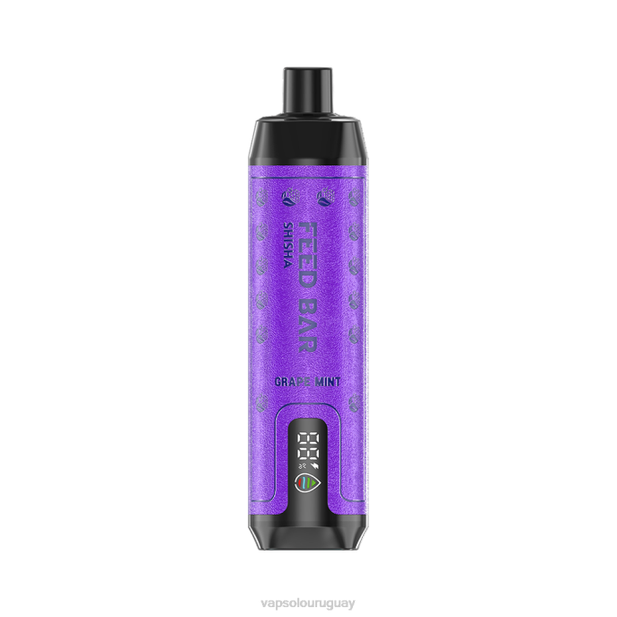 VapSolo Uruguay - menta de uva VapSolo SHISHA vaporizador desechable 4RTV6